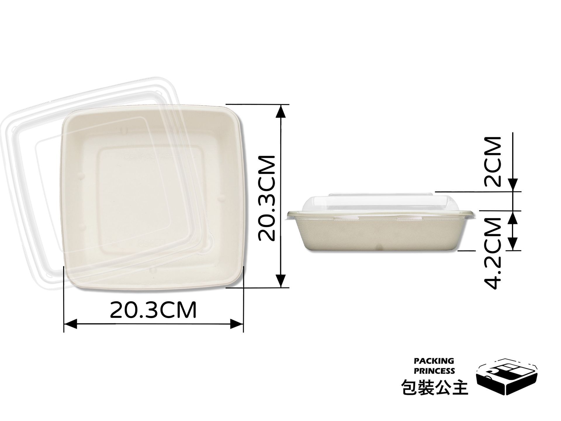 CS-1000 單格大容量植纖餐盒：20.3cm 正方形一體式大空間，適合沙拉、義大利麵或大份量健康餐，透明蓋展示效果極佳