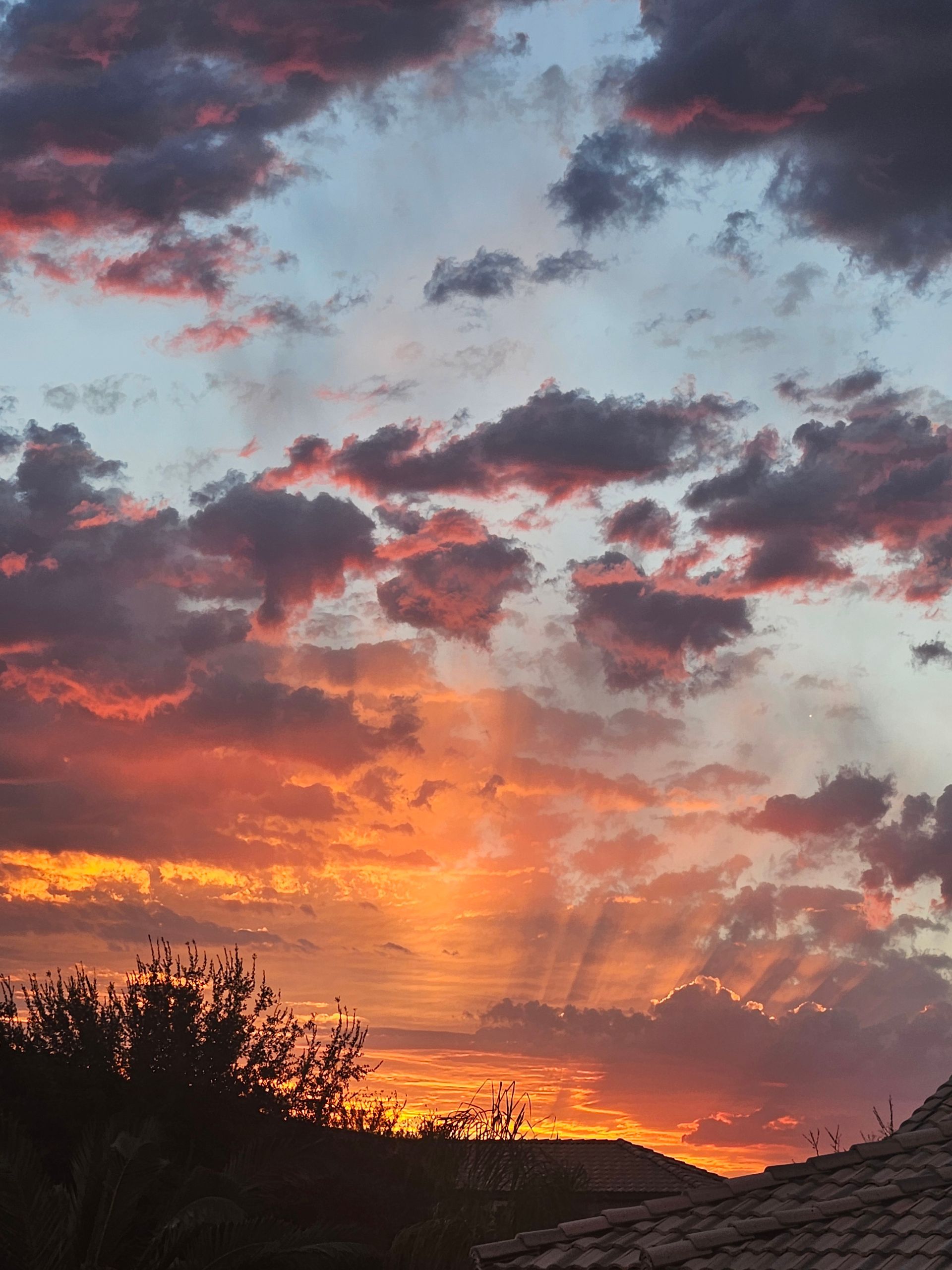 Sunset with vibrant orange and red clouds, sun rays, and silhouetted trees.