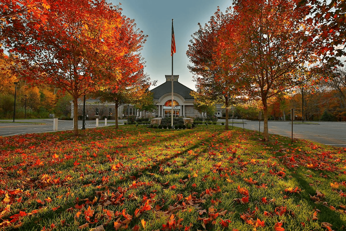 Autumn park with red-orange trees, fallen leaves, and a flagpole centered before a building