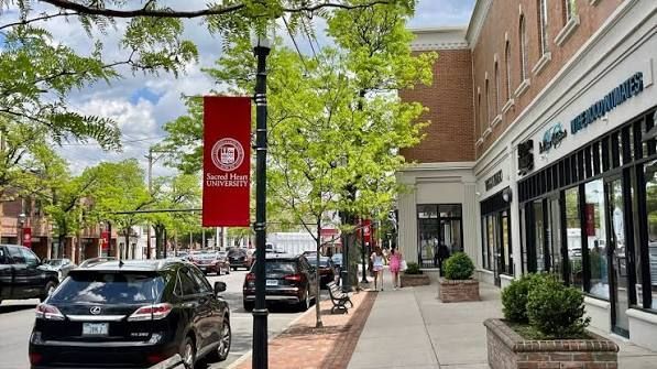 Small downtown street with shops, parked cars, trees, and red banners on a sunny day