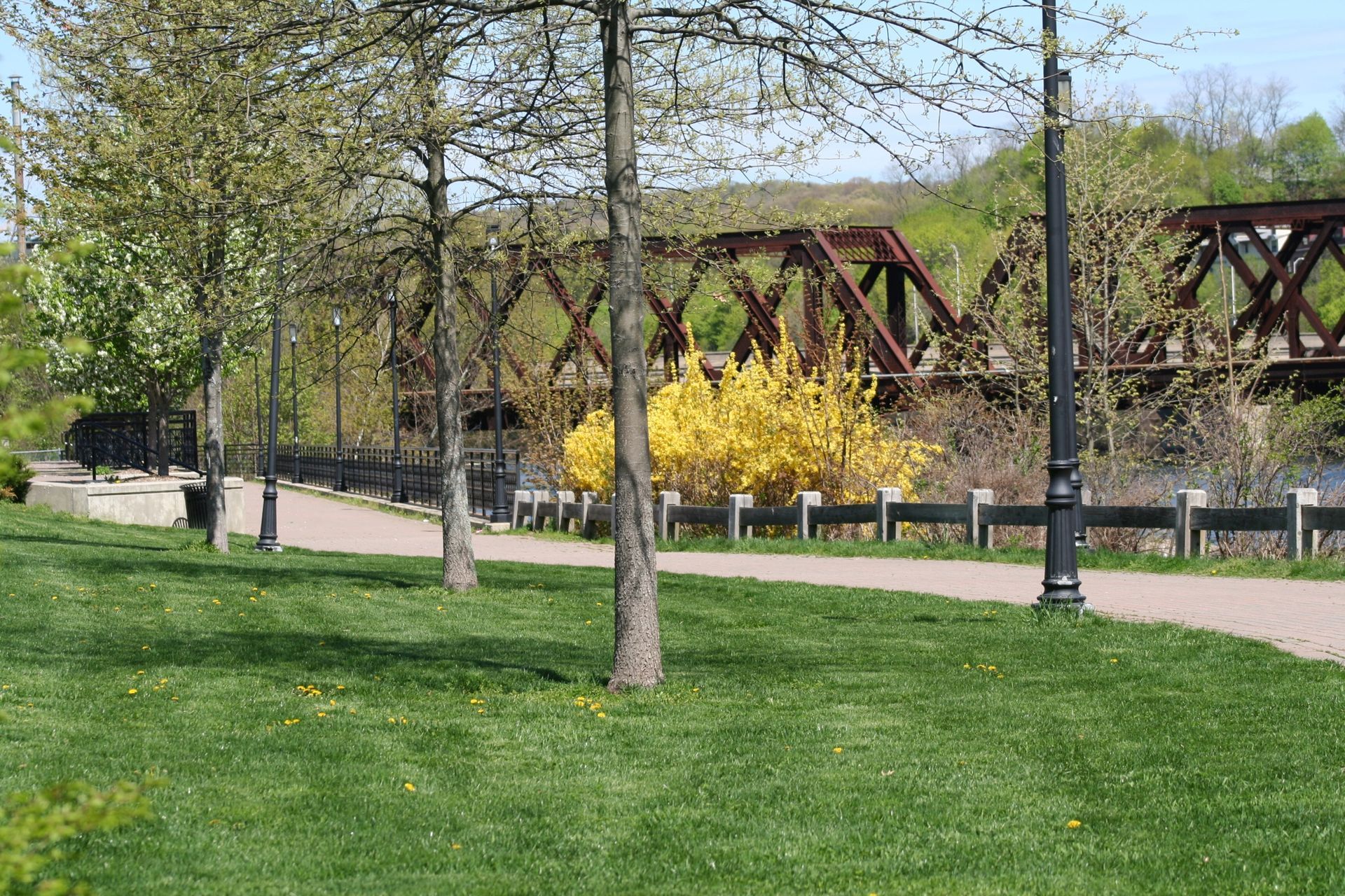 Park path beside green lawn and leafless trees, with a yellow flowering bush and a rusted trestle bridge in back.