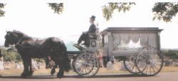 Horse-drawn hearse with driver and black horse on a road