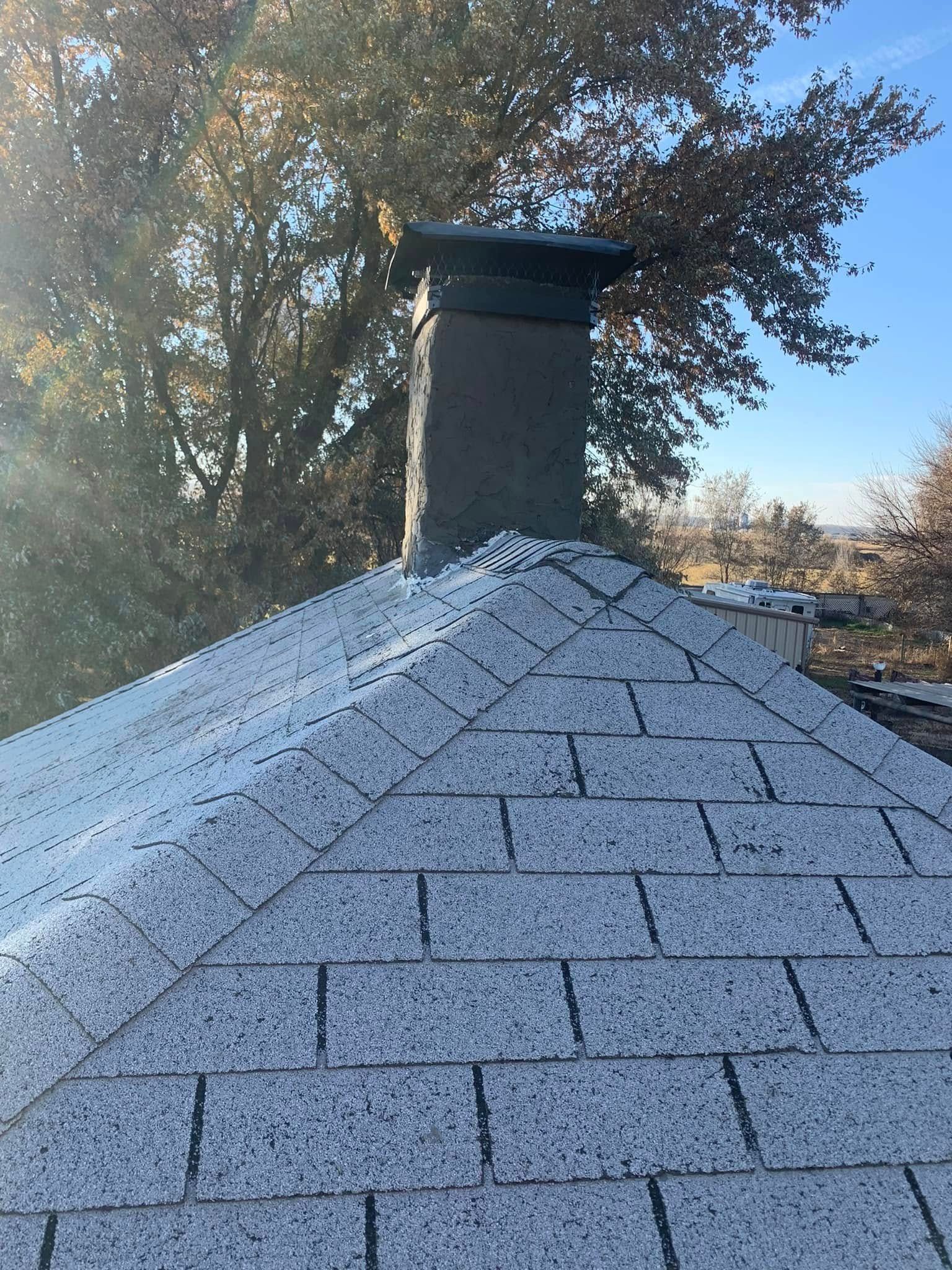 Roof shingles with a chimney against a tree-lined sky