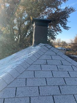 Roof shingles with a chimney against a tree-lined sky