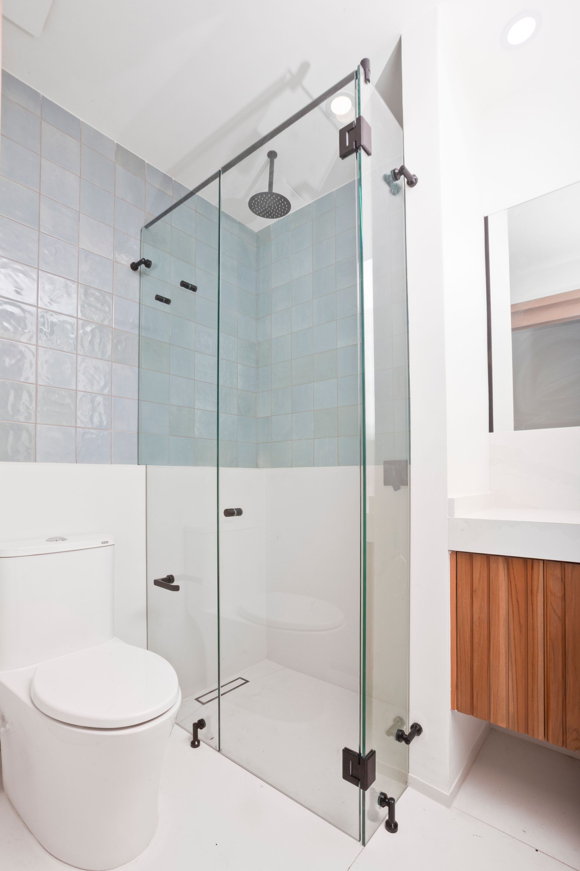 Modern bathroom with glass shower enclosure, white toilet, and wood vanity sink area