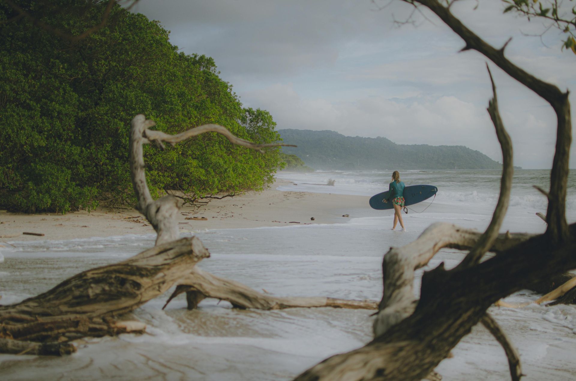 Surfer carrying a board on a misty tropical beach with driftwood and dense green cliffs