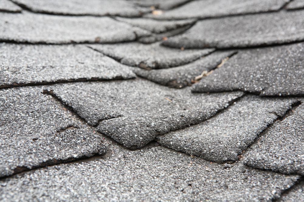 Close-up of a brown asphalt shingle roof, with a blurred background of trees.