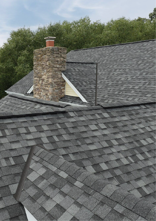 Gray shingled roof with a stone chimney. Trees in the background. Cloudy sky.