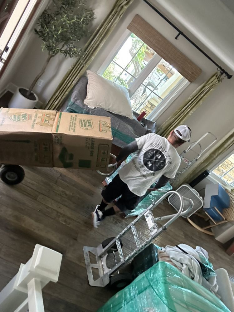 Person moving boxes with a dolly inside a home with a window and a large potted plant.