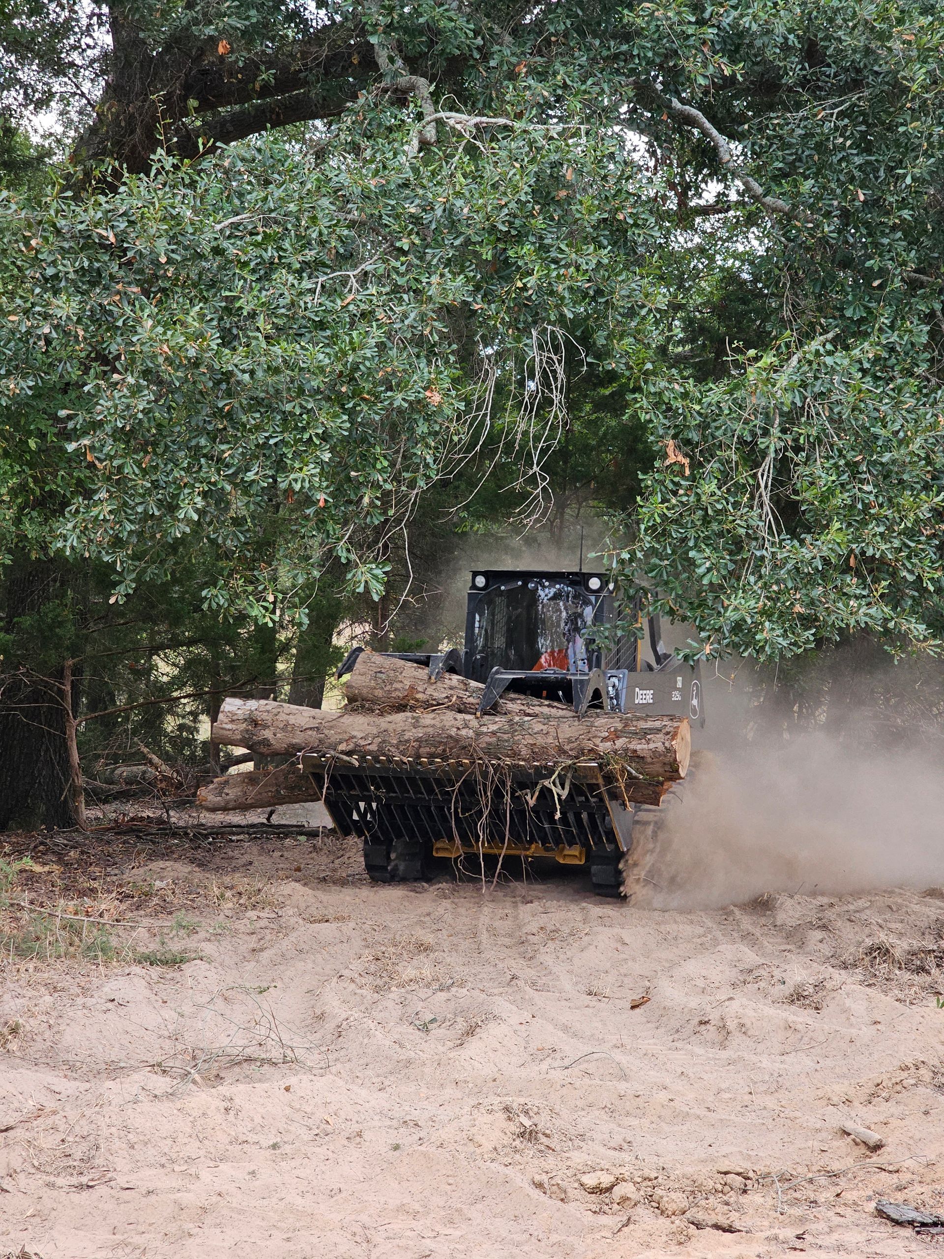 Skid steer transporting logs through a dusty clearing, surrounded by green trees.