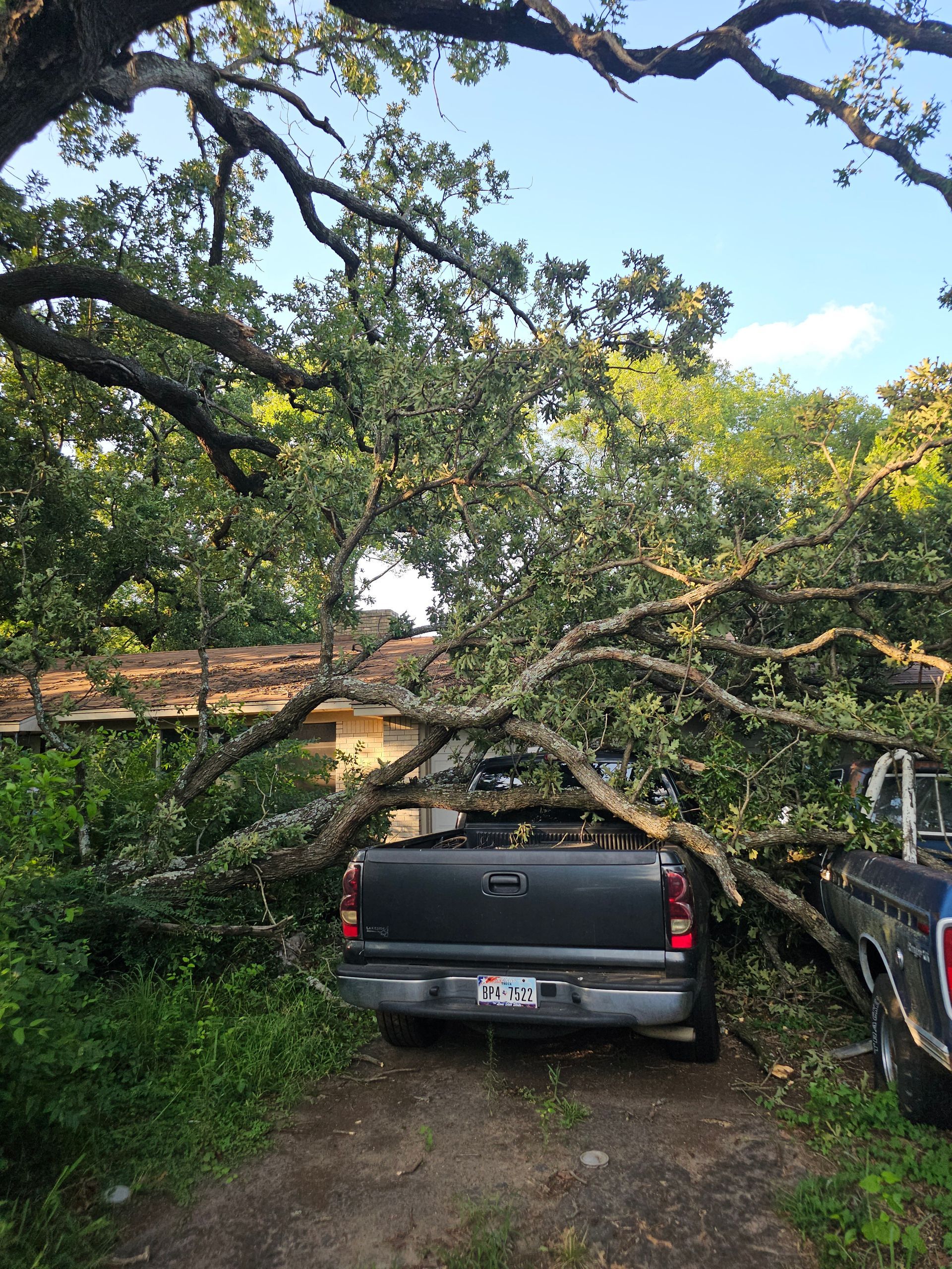 Black truck parked under a large tree; branches touch the roof of a house.