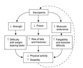 The importance of resistant training