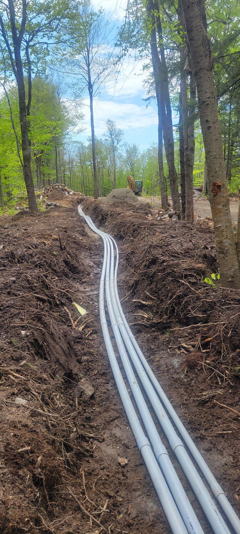 A bunch of electrical wires are going through the dirt in the woods.