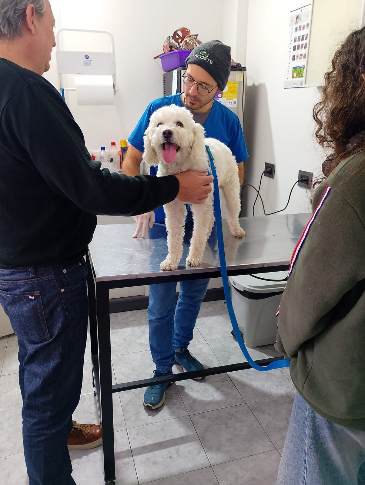 Perro en una mesa veterinaria con tres personas presentes. El perro tiene la lengua fuera.