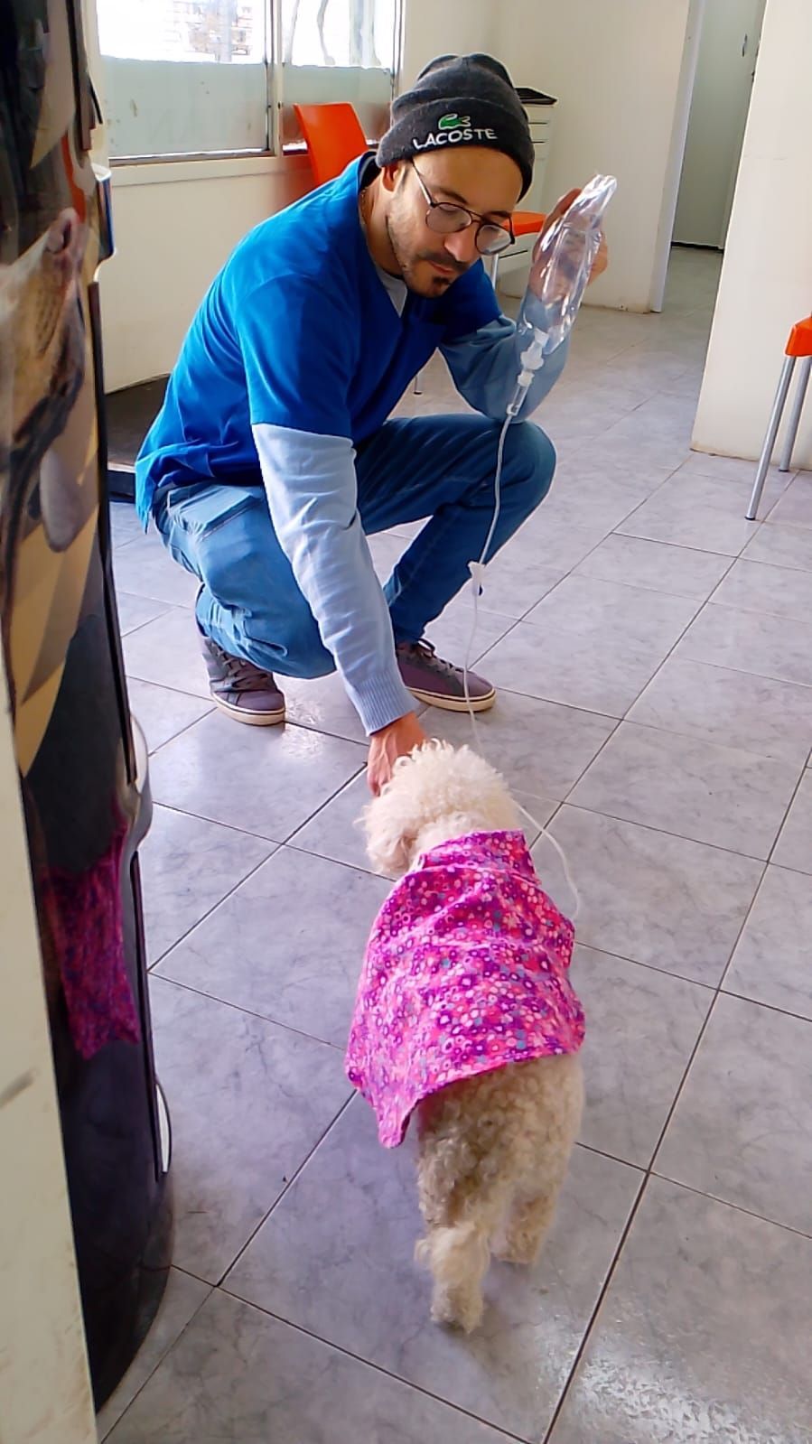 Un hombre con uniforme azul se agacha y acaricia a un perro pequeño que viste una camisa floreada de color rosa en una habitación embaldosada.