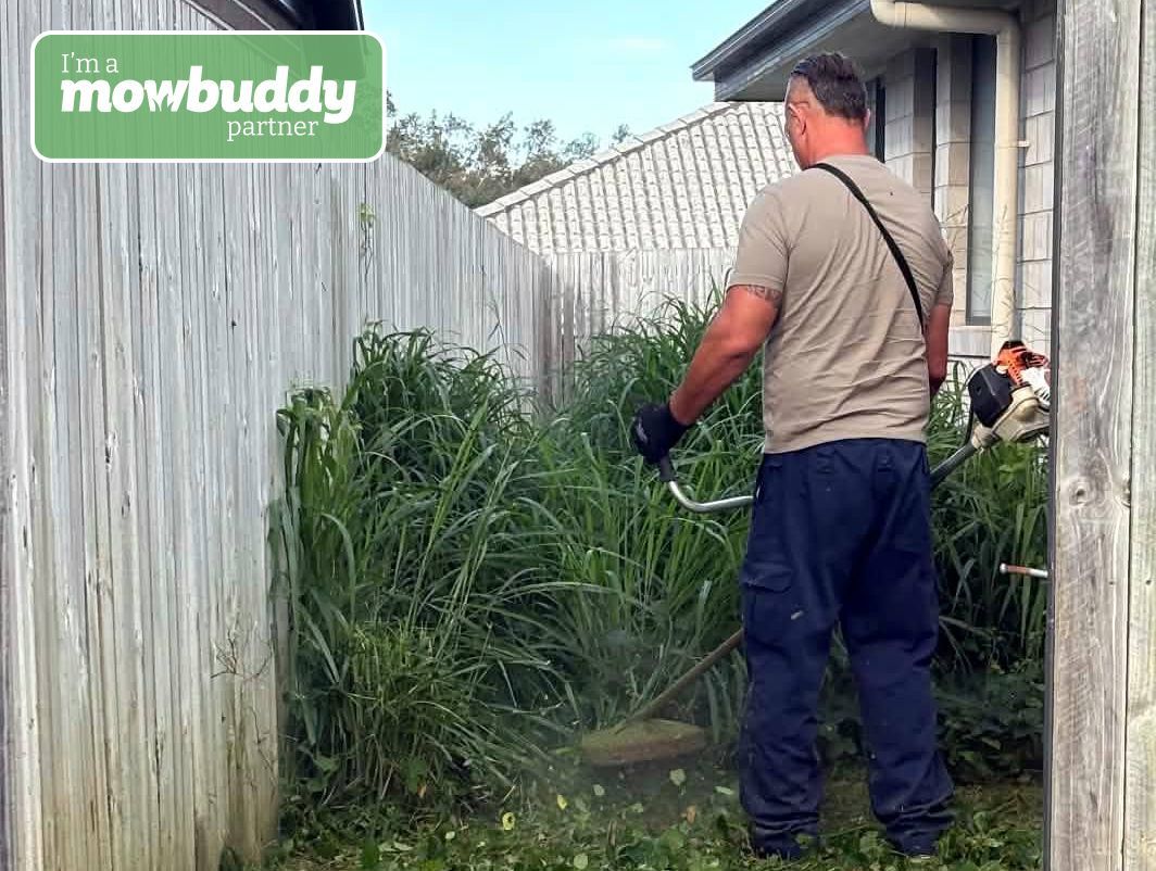 Mowbuddy Brad, lawn mowing gardener in North Lakes