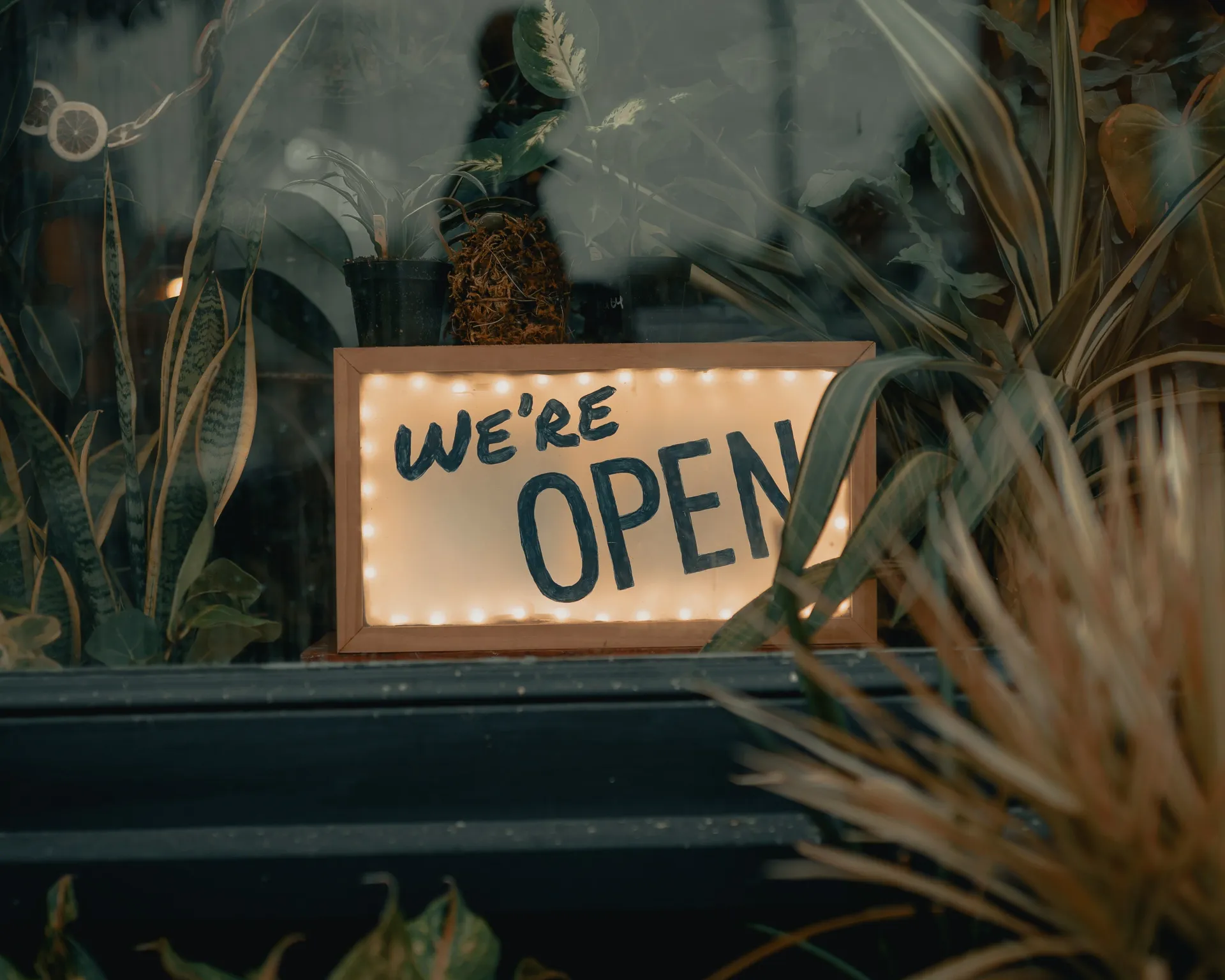 A sign that says `` we 're open '' is in a window surrounded by plants.