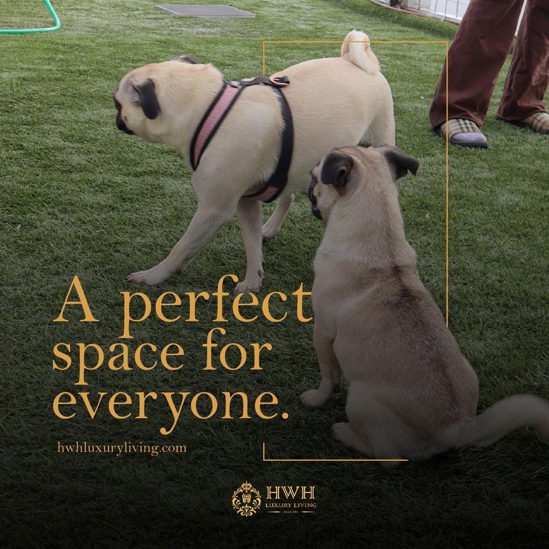pet park