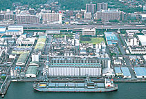 Aerial view of a large industrial complex with a ship at dock. Silos, buildings, and a city in the background.