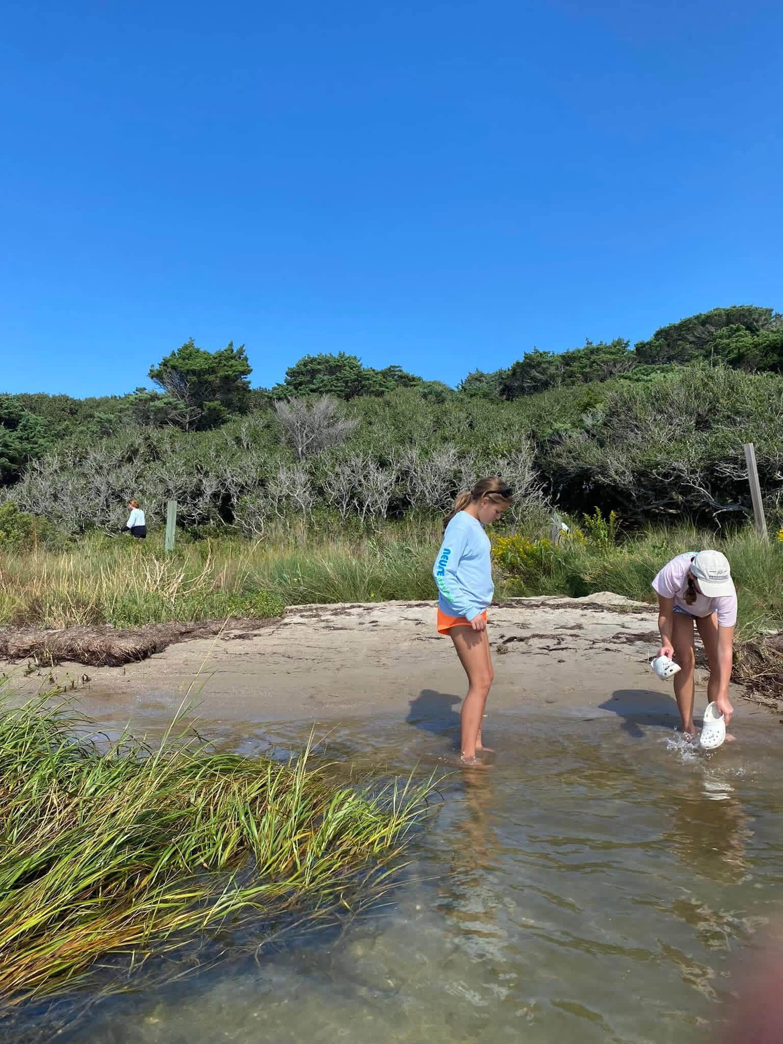 Two people wade in shallow water at a sandy shore with green vegetation under a clear blue sky