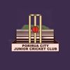Logo for Porirua City Junior Cricket Club: cricket stumps, ball, landscape, and text on a black background.