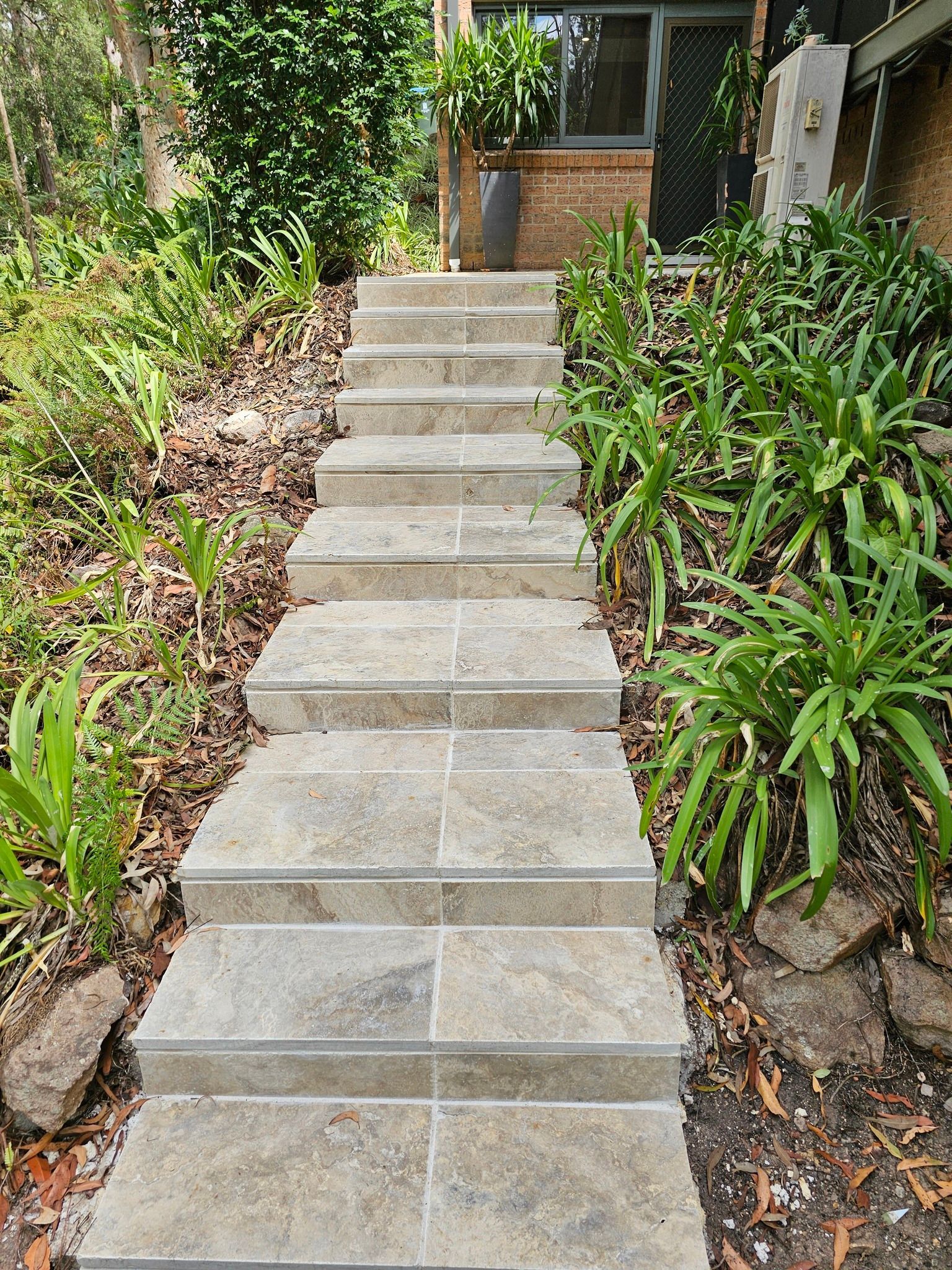 A set of stairs leading up to a house surrounded by plants.