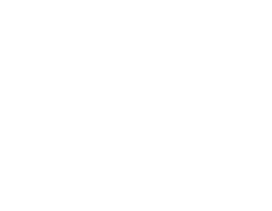 Mostly blank white image with a thin black bar along the bottom edge