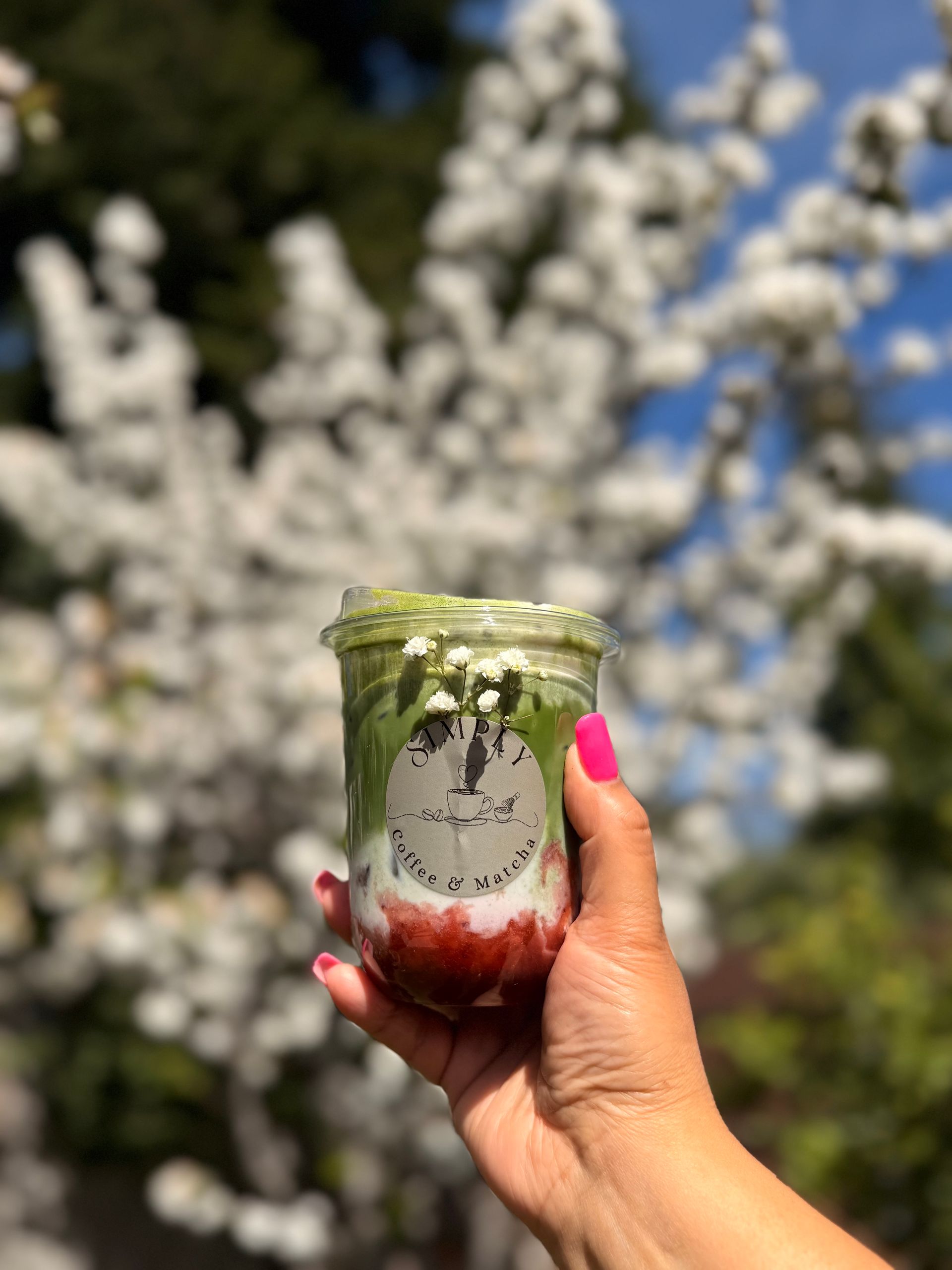 Hand holding a clear cup with green and red layered drink in front of white blossoms outdoors
