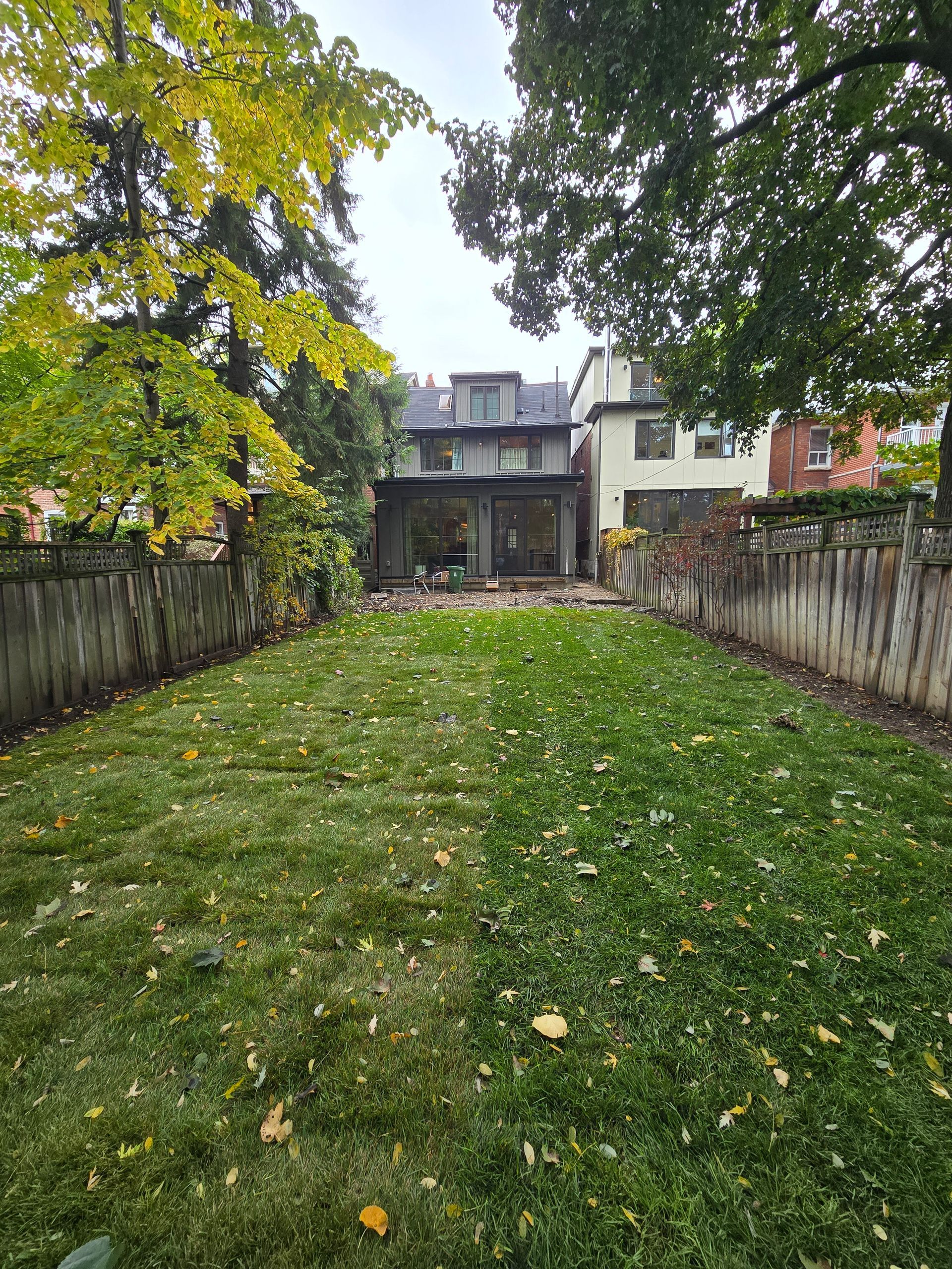Backyard with green grass, wooden fences, and a multi-story house in the background. Autumn leaves are scattered.