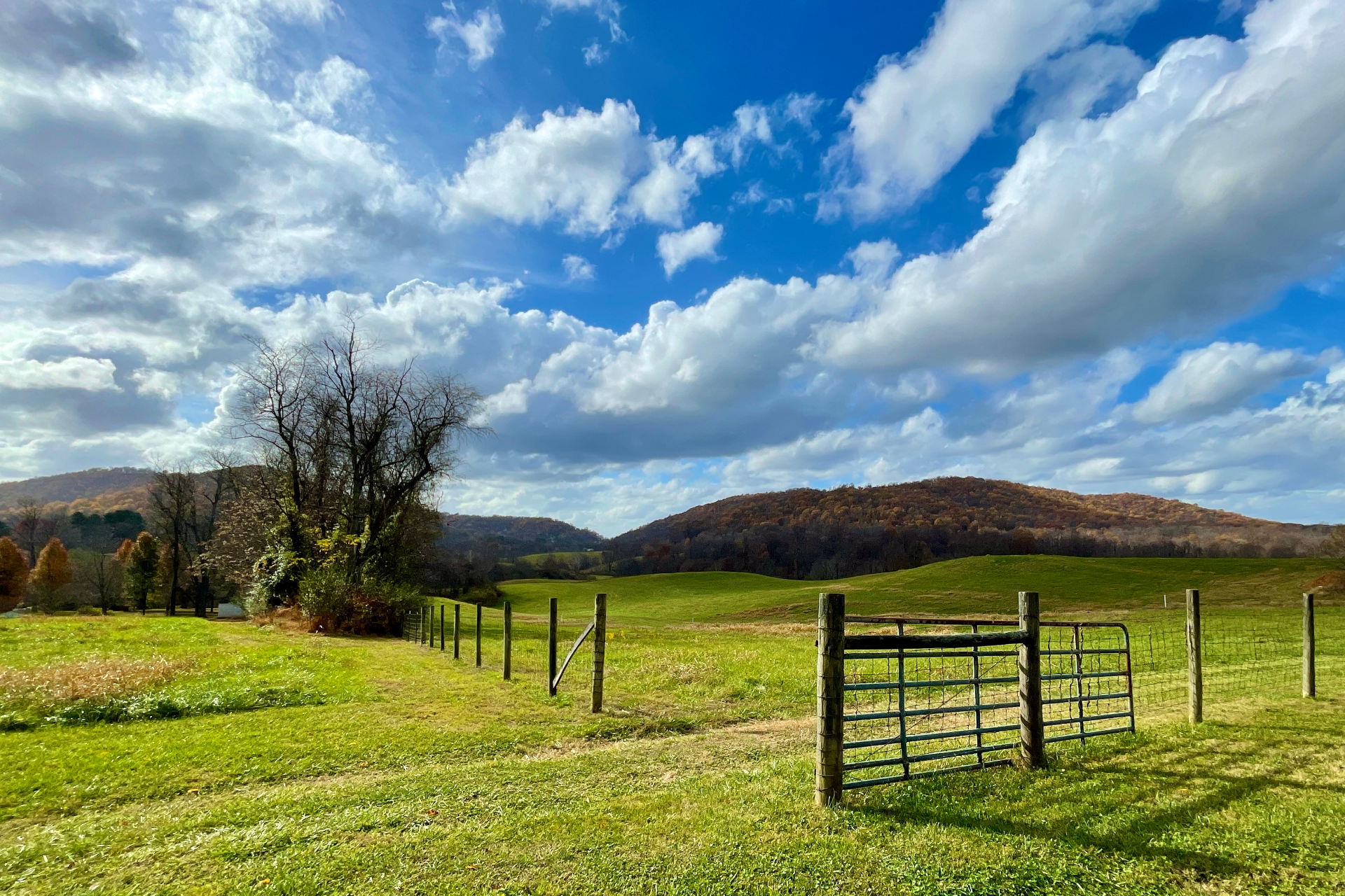 A metal gate opens to a green pasture with rolling hills under a bright blue sky filled with white clouds.