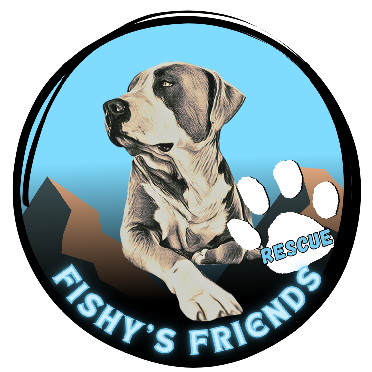 Adoptable Dogs | Fishy's Friends Rescue
