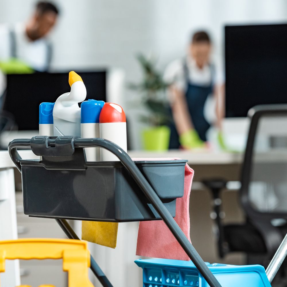 Professional Commercial Cleaners With Their Cleaning Materials