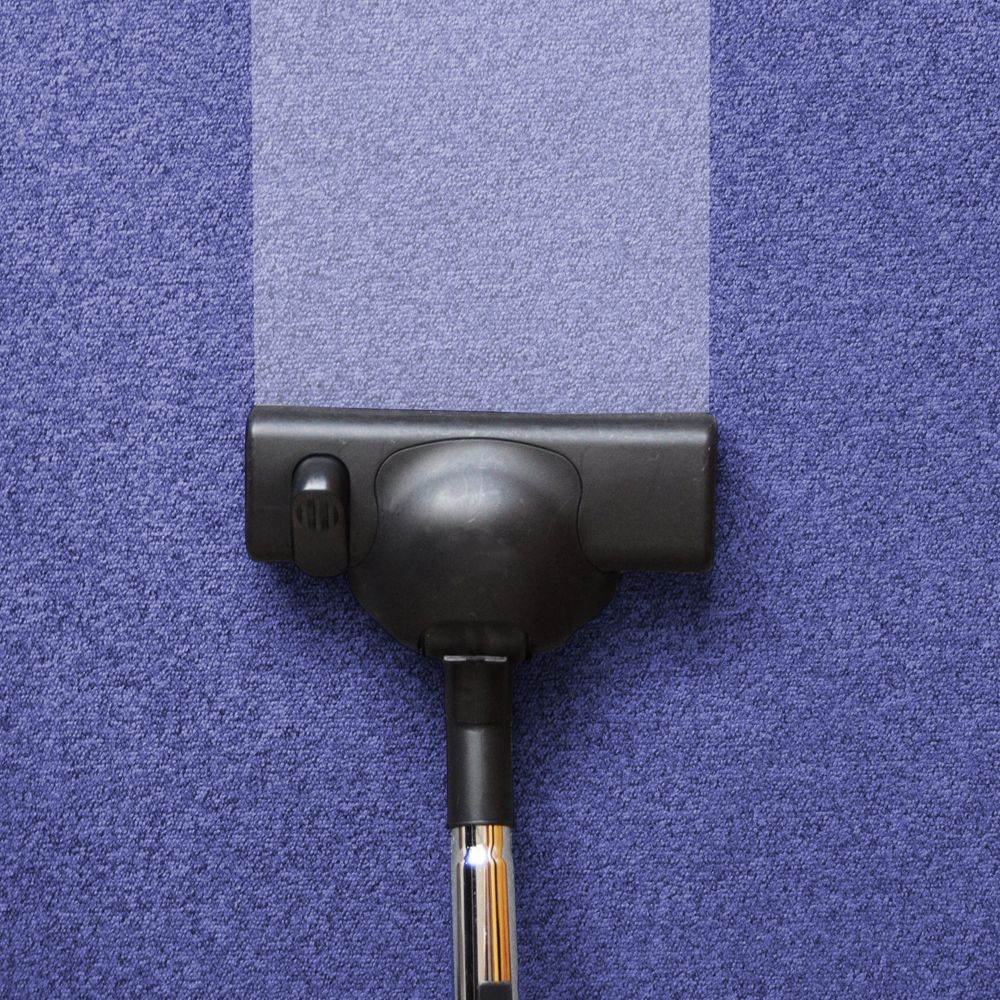 Carpet Cleaning