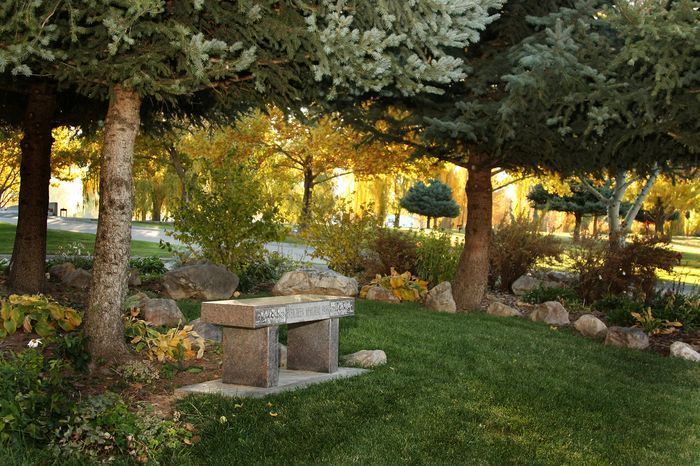 Stone picnic table in a grassy park under trees with yellow sunlight and rocks nearby