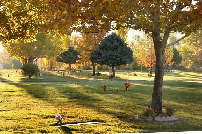 Sunlit park with scattered trees, grassy slopes, and a person walking near a path in autumn colors
