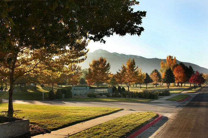 Sunlit park path with trees, grass, and distant mountains at dawn