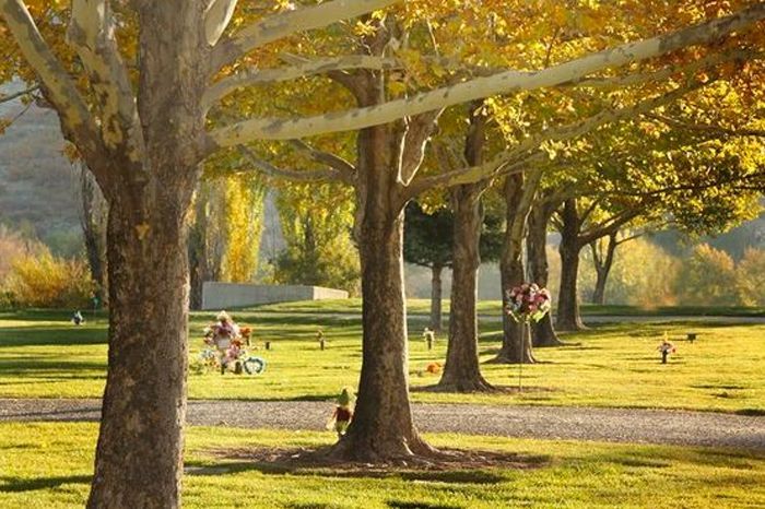 Sunlit park with tall trees, green grass, and people sitting on benches in autumn colors