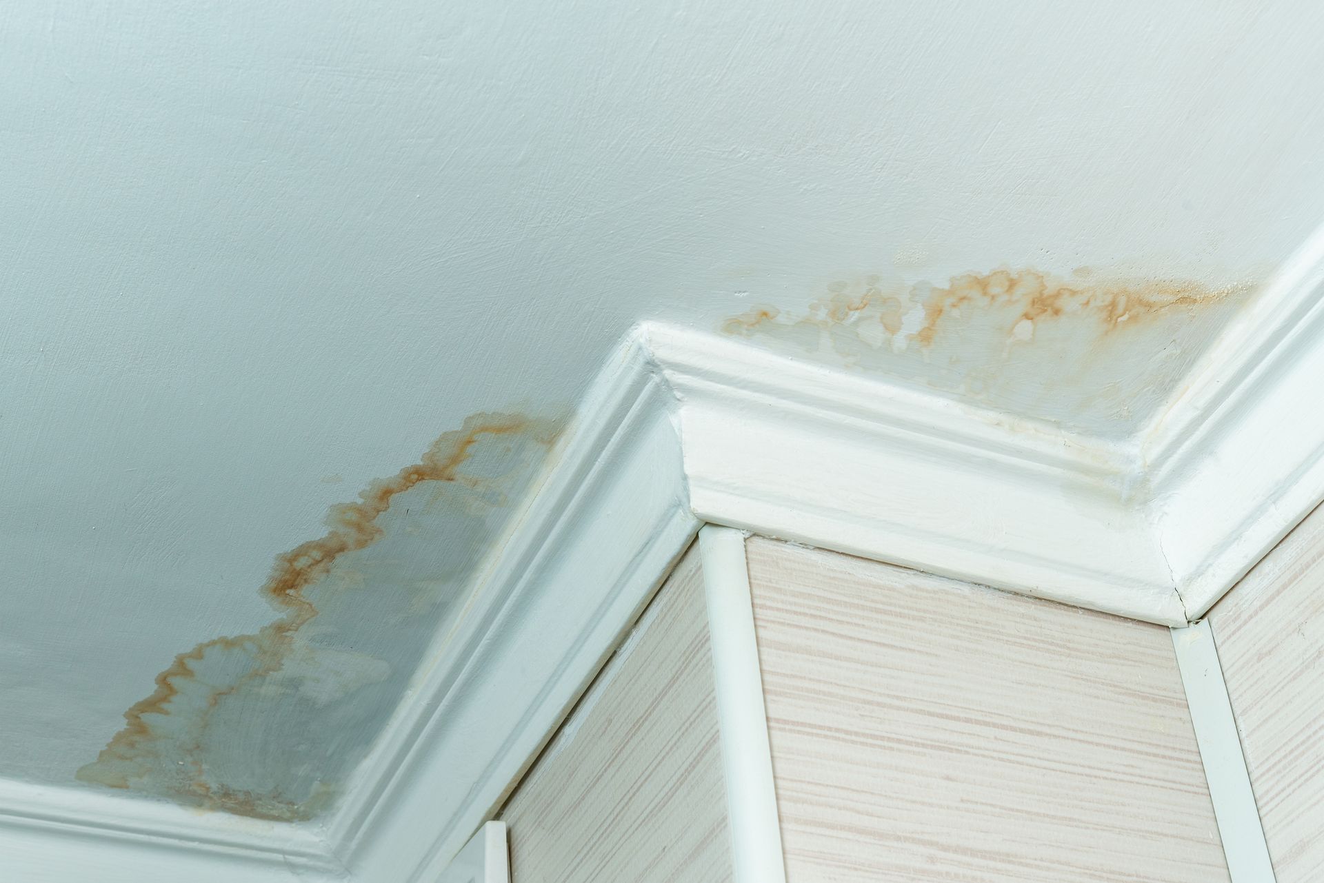 A ceiling with water stains on it and a white molding.