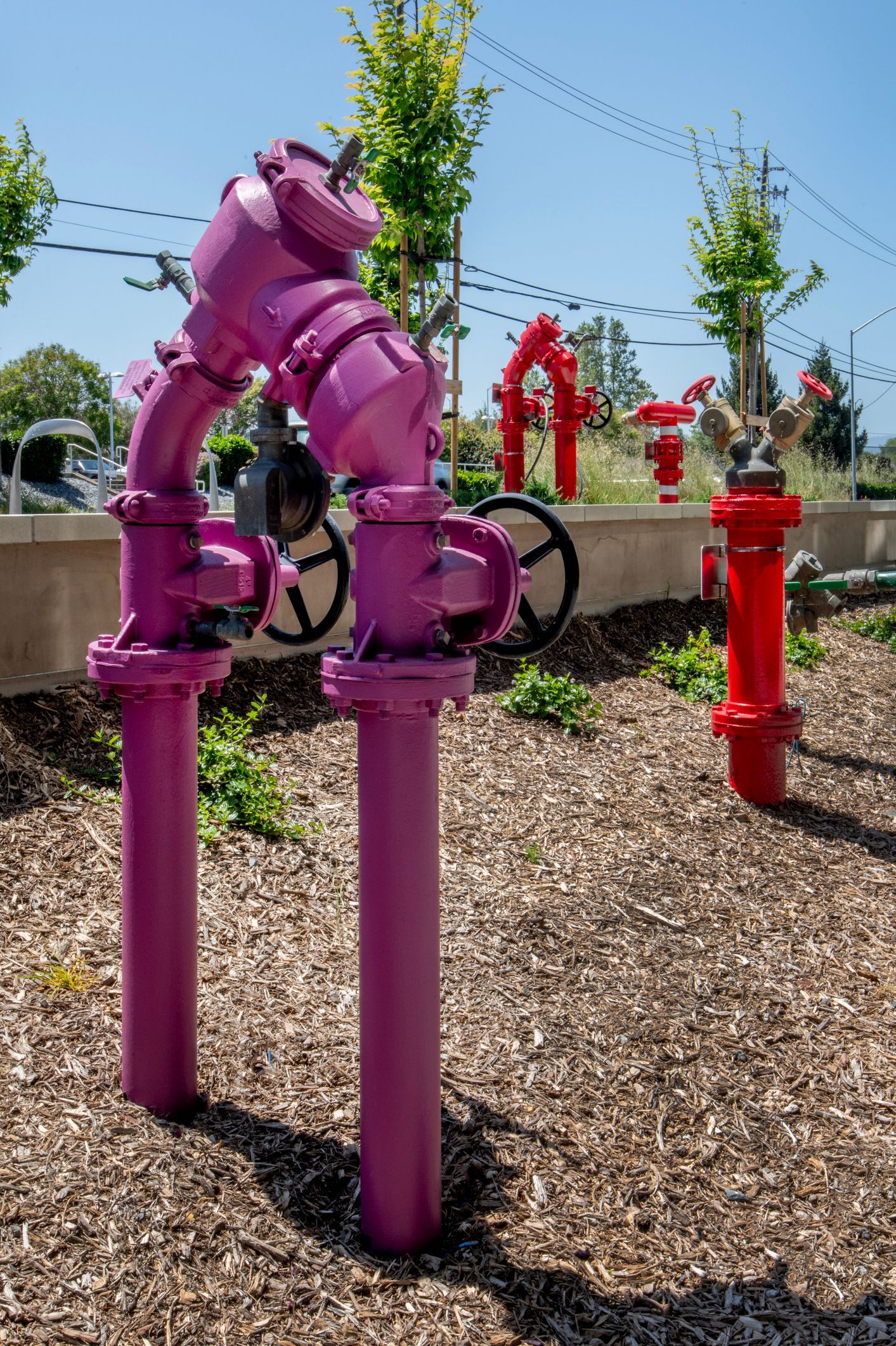 A bunch of pink pipes and red fire hydrants in a field.