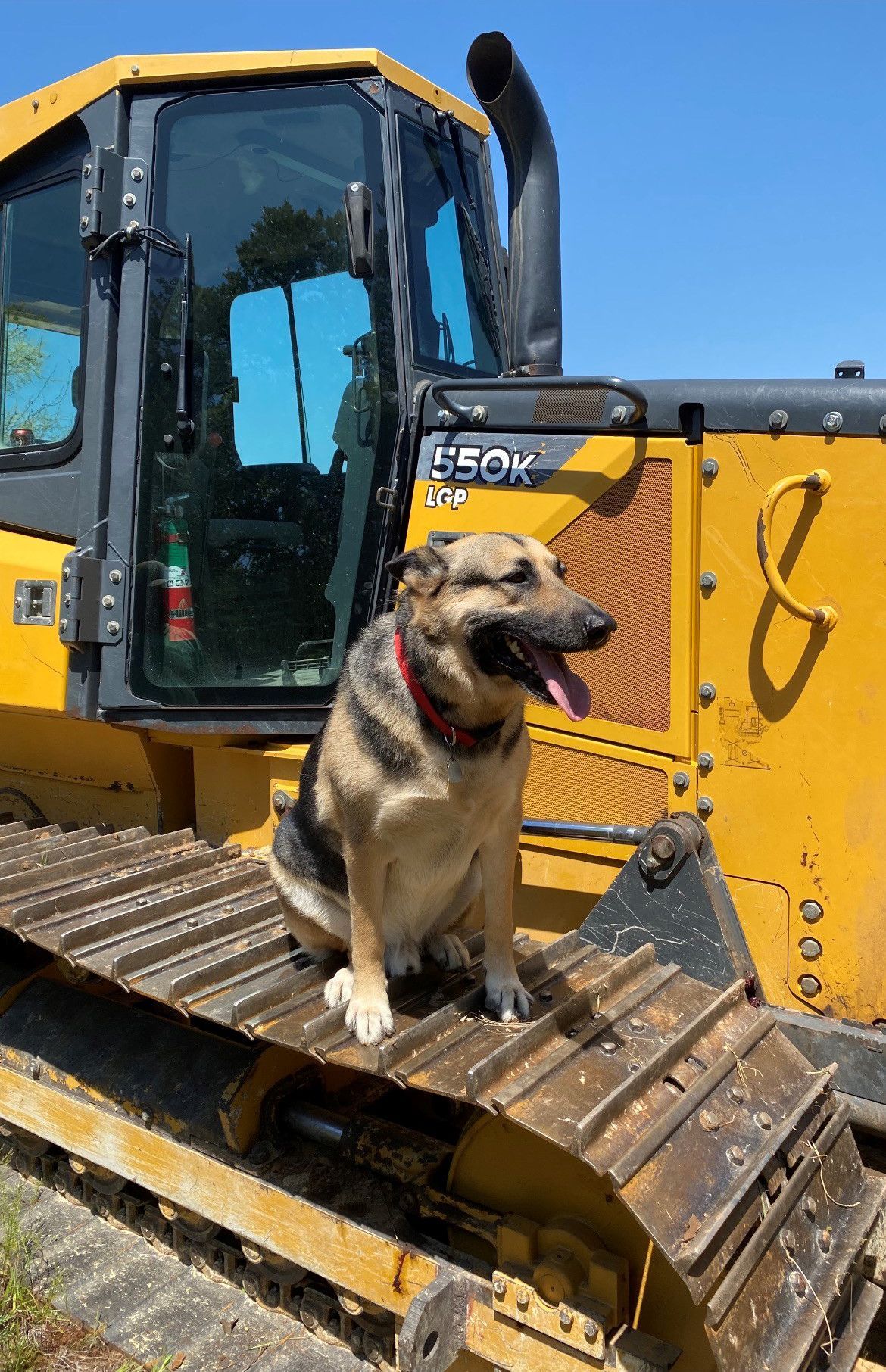 Dog Sitting On Excavator — Weatherford, TX — Cleve Smethers Hauling