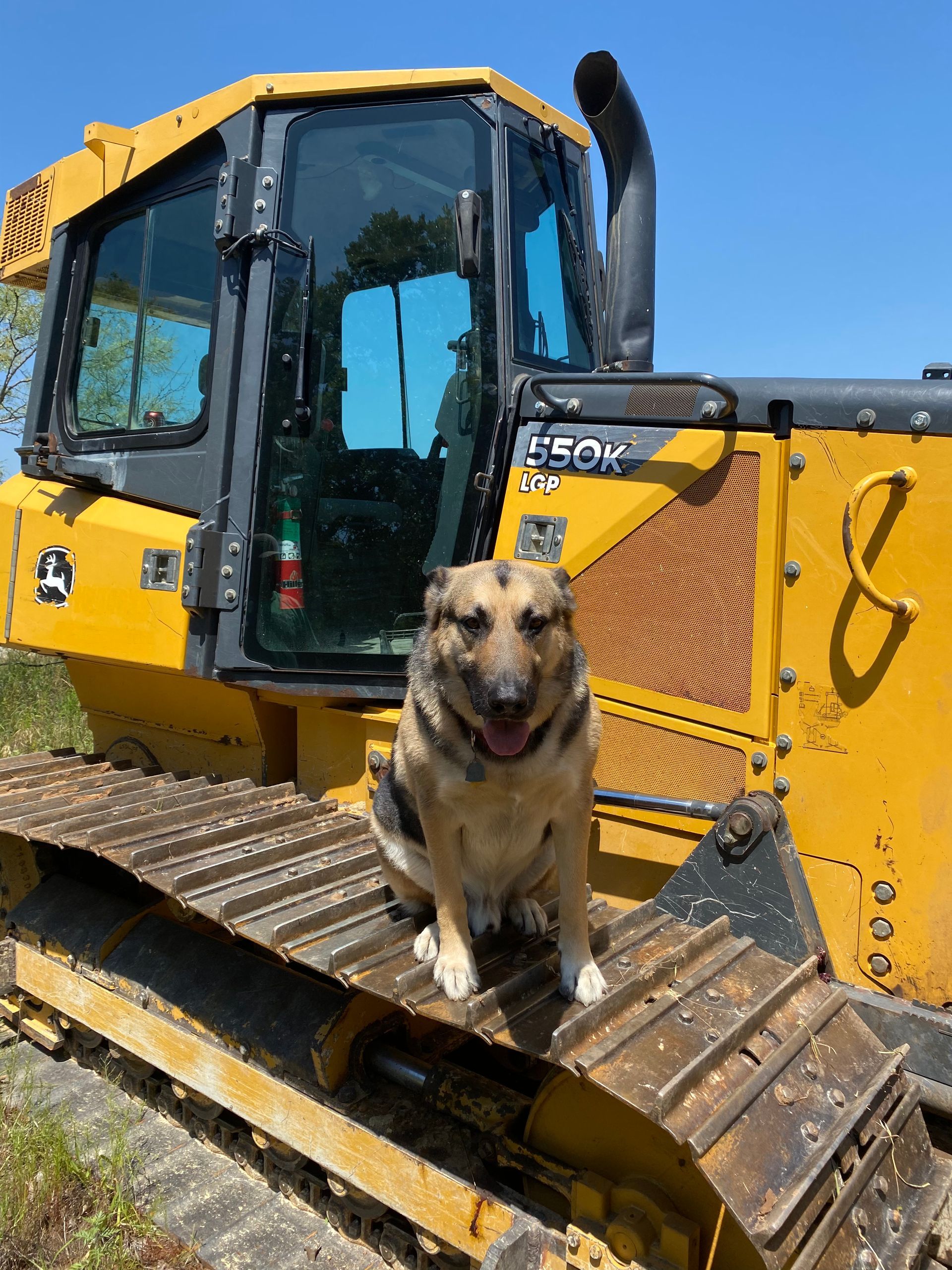 Excavator And A Dog — Weatherford, TX — Cleve Smethers Hauling