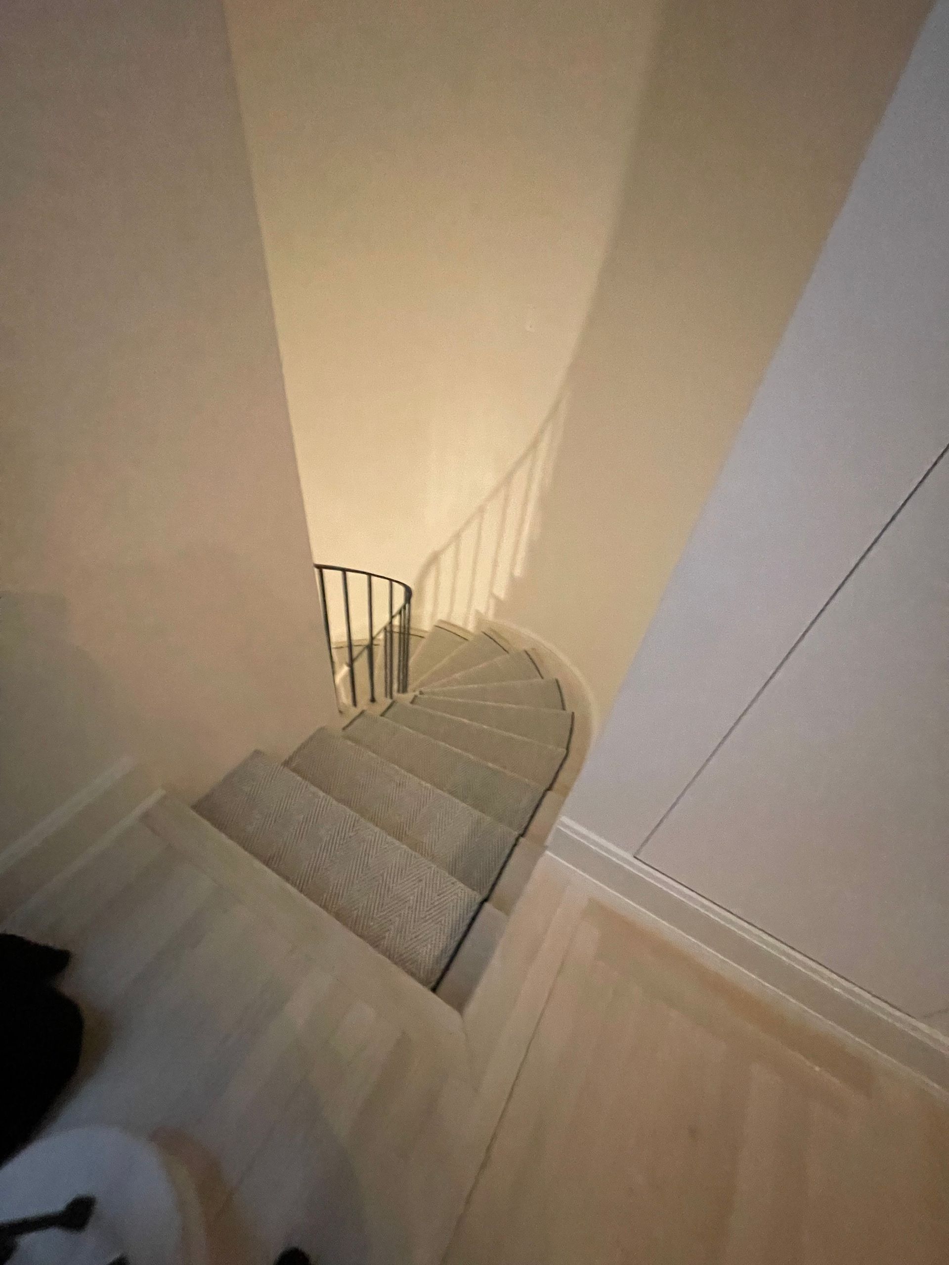 Narrow residential staircase with carpeted steps in a modern interior.