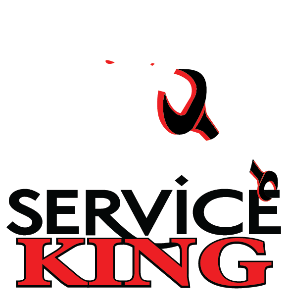 Service King company logo with strong lion head design