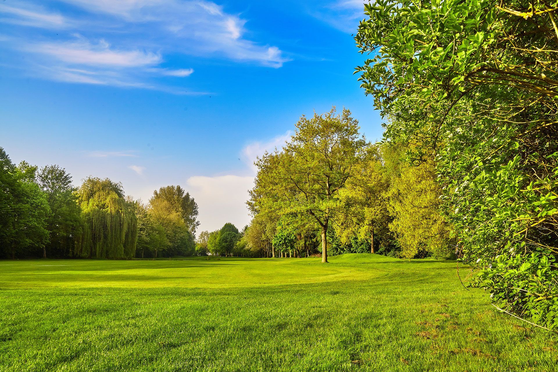 City park. Panorama of a beautiful park