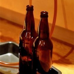 Two bottles of beer are sitting on a tray on a table.