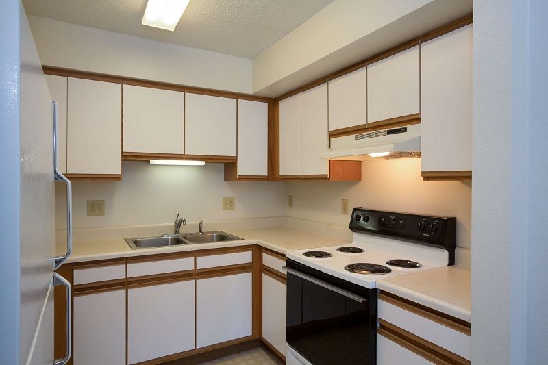 Small white kitchen with wood-trim cabinets, sink, and black stove under a vent hood.