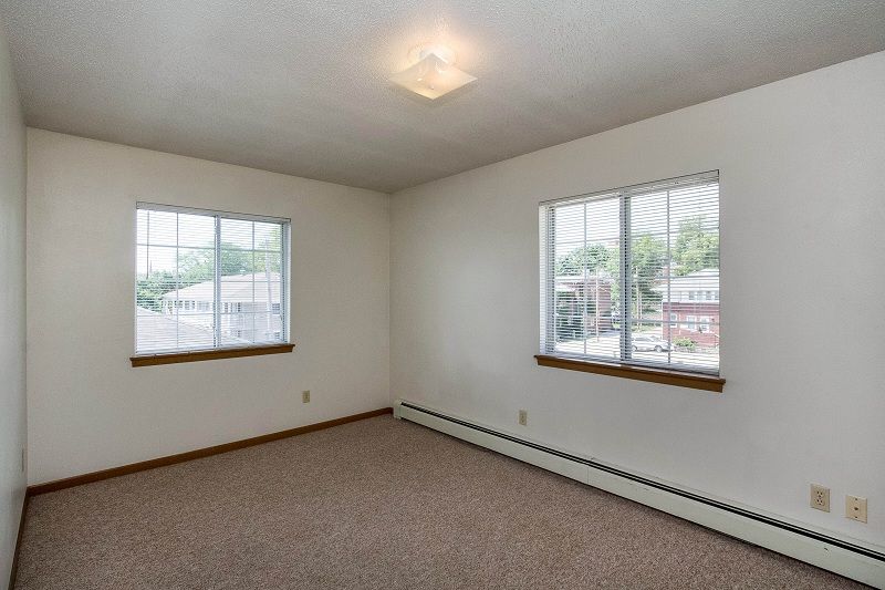 Empty beige bedroom with two windows, carpeted floor, and a ceiling light