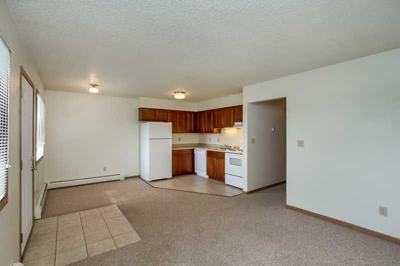 Empty beige living room with small kitchen area, carpet, tiled entry, and windows along the left wall