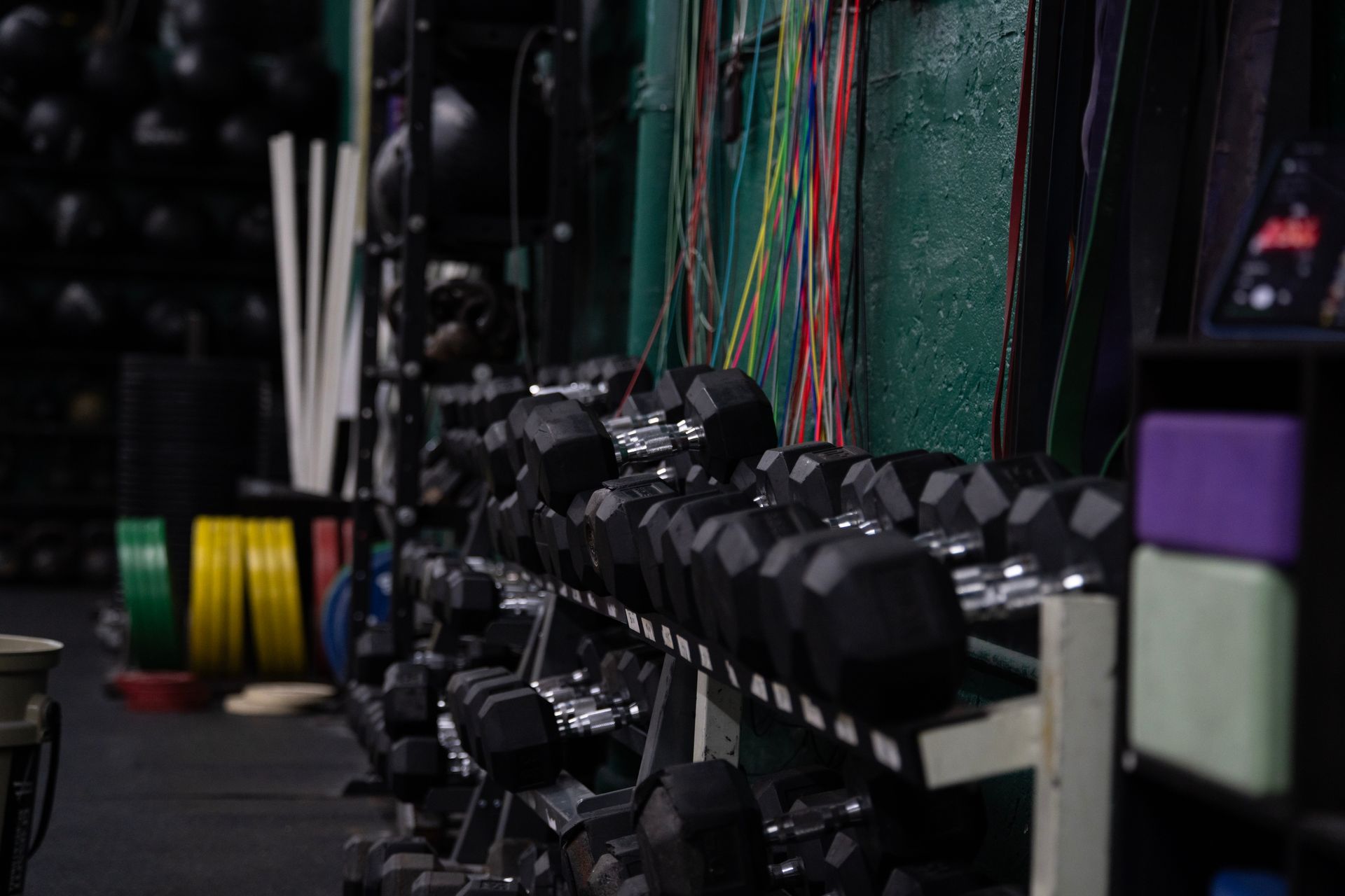 Rows of dumbbells and colorful weight plates in a gym storage area