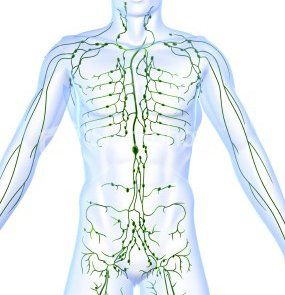 Lymphatic Drainage | Columbia, CO | SpiritWorks Lymphatic Drainage | Columbia, CO | SpiritWorks